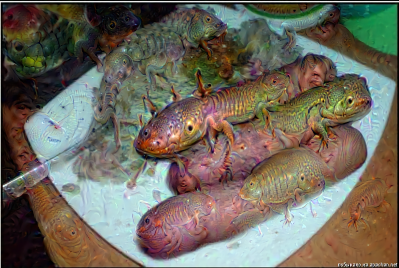 Скачать.хорезмийский.порно