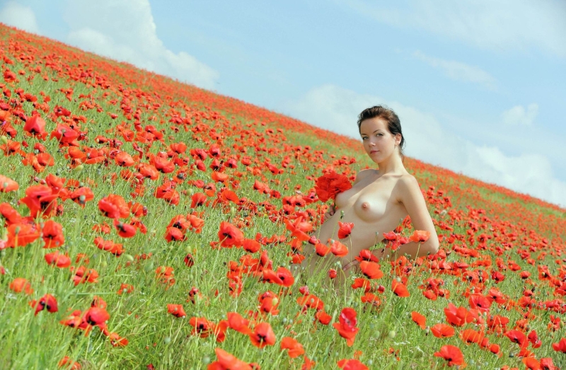 Голая в цветочном поле