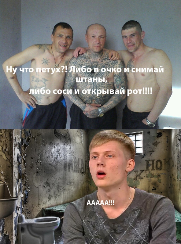 Ирина сычёва и Лев Каменецкий
