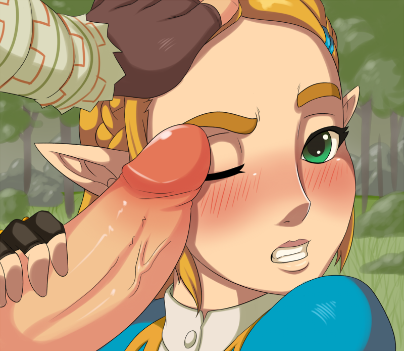 Принцесса Зельда Breath of the Wild rule34
