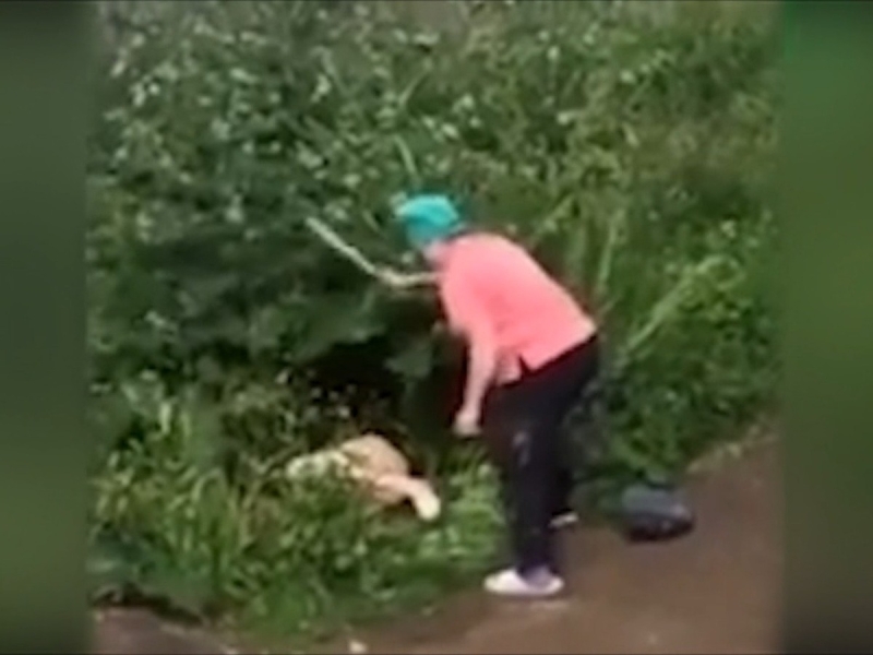 Заснял парочку в кустах