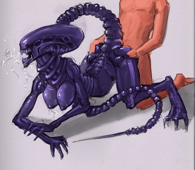 Meandraco ксенофилия