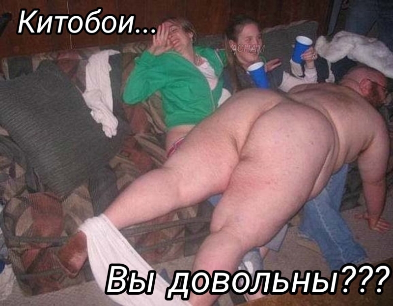 Голые пьяные смешные пышки