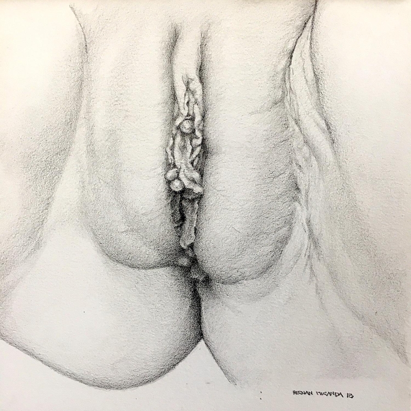 Вагина красиво картина