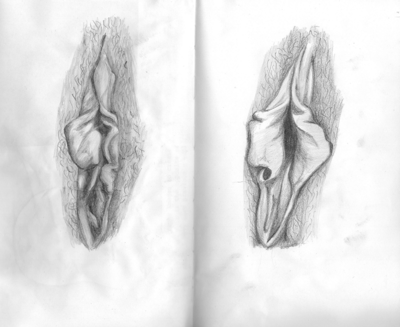 Рисование половых органов